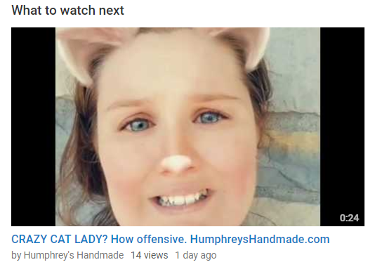 Crazy Cat Lady? How offensive.