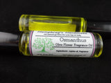 OSMANTHUS Perfume | Peach Tea Fragrance | Sweet Olive | Japanese | Moisturizing Jojoba Oil - Humphrey's Handmade